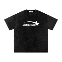 Snow Washed Cascade Logo Tee